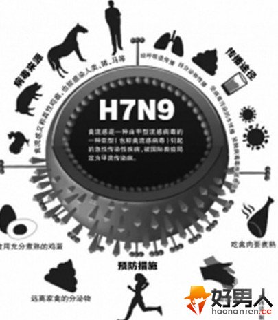 ýH7N9Ѿ