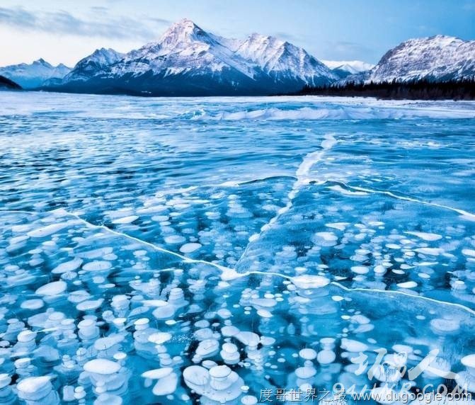 7. ǲô(Abraham Lake, Alberta, Canada)